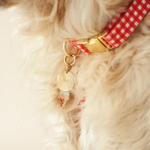 Collar Vichy Rojo