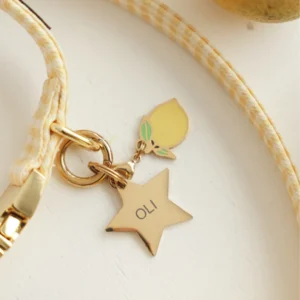 Charm Limón